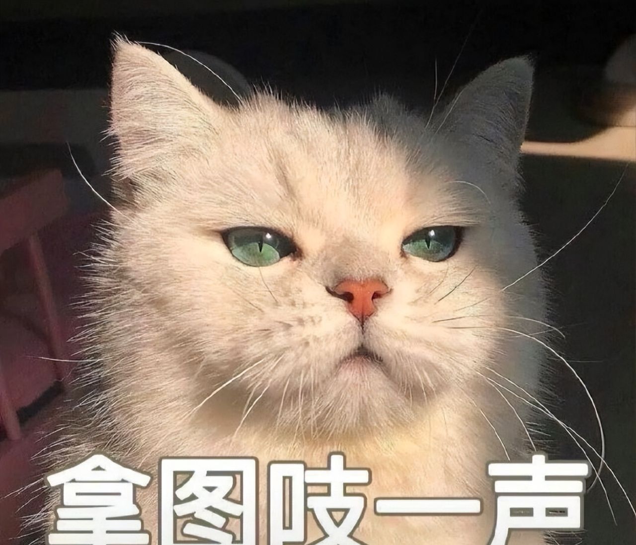 工作群聊天壁纸背景图