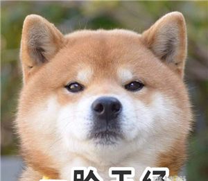 微信专属摩斯密码，在线密文聊天，再也不怕别人查手机了