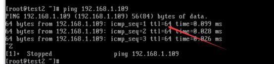 怒敲5000字 看完即了解Linux 操作系统的的三种网络模式和配置