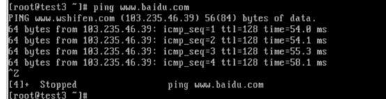 怒敲5000字 看完即了解Linux 操作系统的的三种网络模式和配置