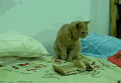 iPhone最羞射的功能,自定义振动节奏 - 宋马