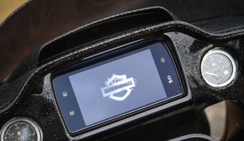 种了一个根本拔不动的草 试驾哈雷公路滑翔