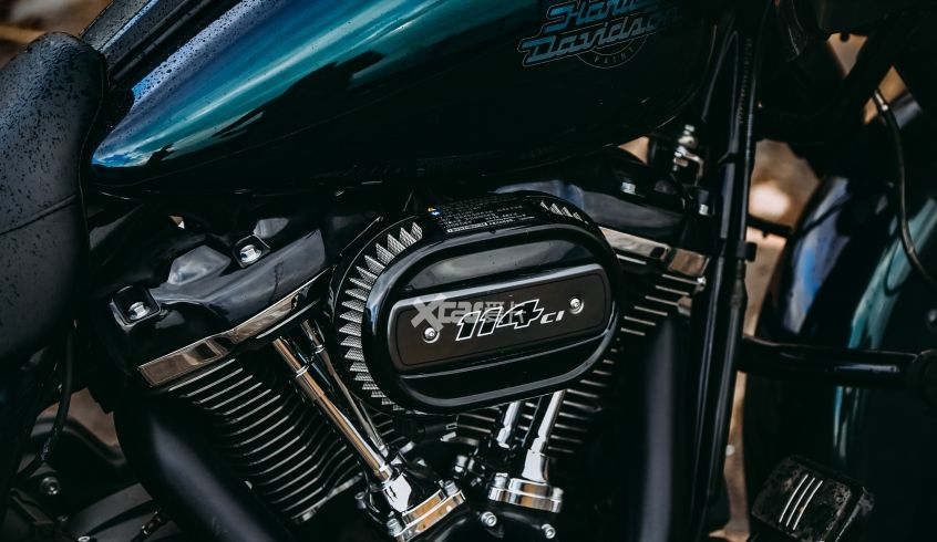 种了一个根本拔不动的草 试驾哈雷公路滑翔