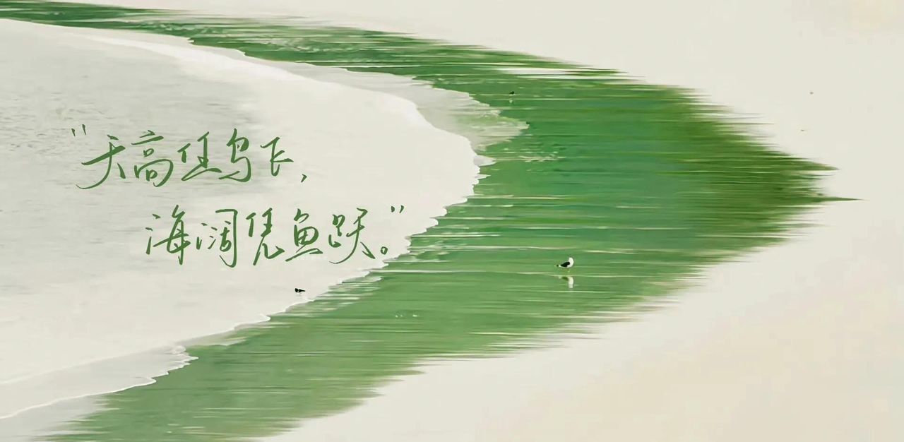 打开电脑，换壁纸啦