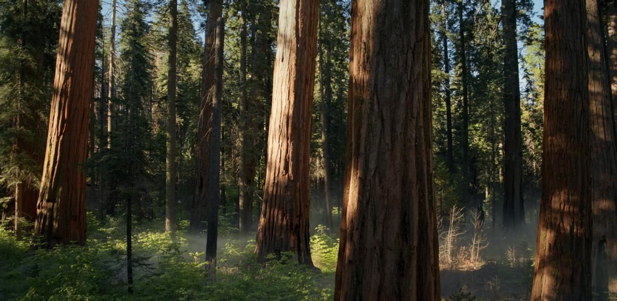 macOS Sequoia Beta 5新增壁纸 - 点击这里下载