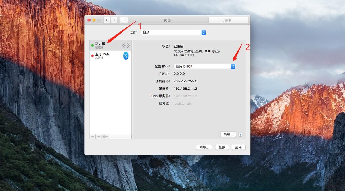 MAC(苹果电脑)设置自动IP地址、修改DNS