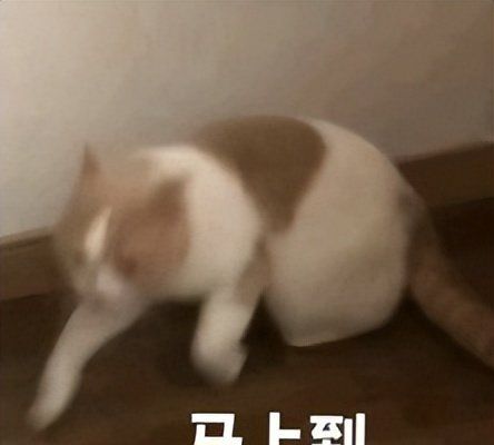 小米手机系统突然整活,网友:这波操作真会玩?