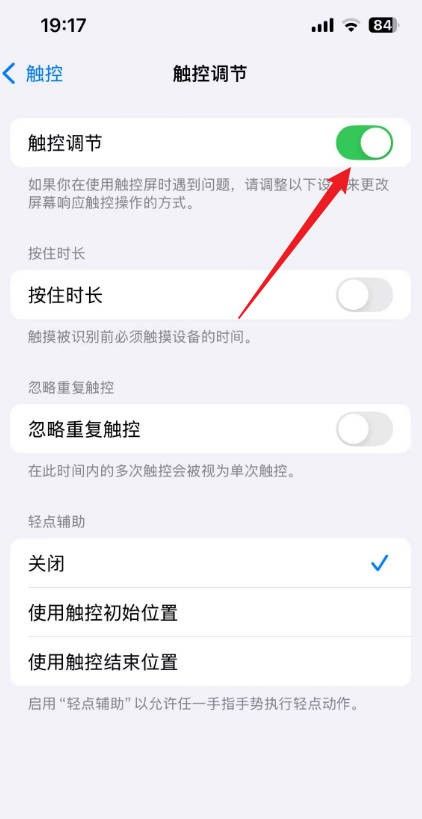 苹果手机自检功能在哪里