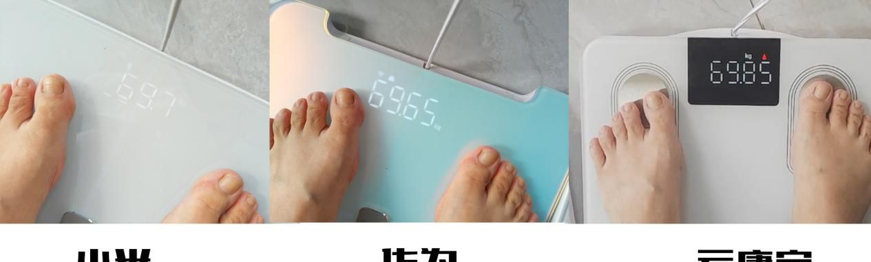 八电极体脂秤哪款好用？云康宝、华为、小米旗下三款热门机型横评
