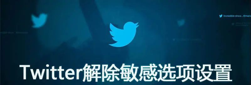 推特如何解除敏感内容的限制 - 宋马