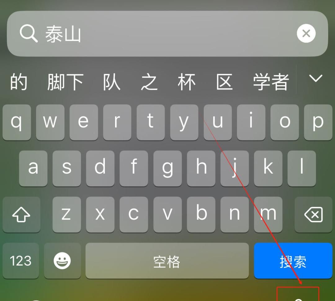 【苹果手机】词典功能，99%的人都不知道