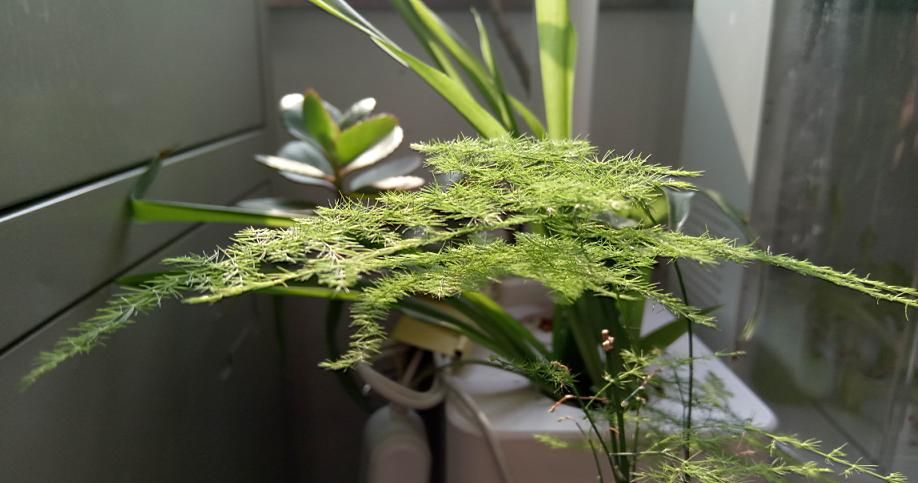 乐2的九个特色与遗憾