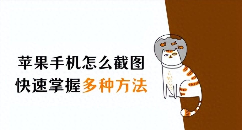 苹果手机怎么截图？快速掌握多种方法（不同机型） - 宋马