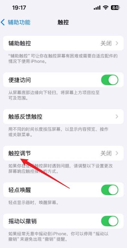 苹果手机自检功能在哪里