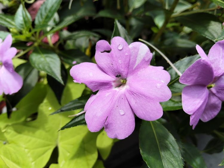 OPPO A3评测：超实用手机怎么造？它可能是正解