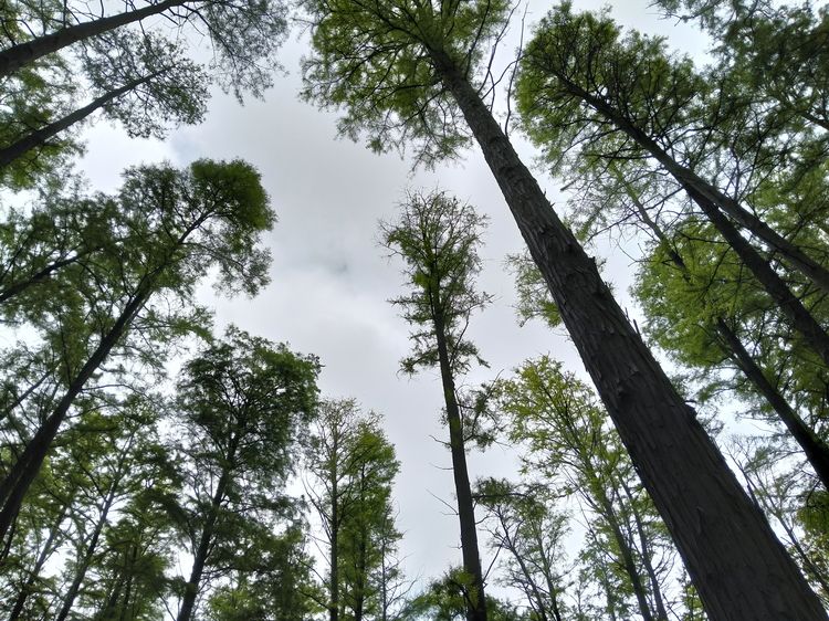 OPPO A3评测：超实用手机怎么造？它可能是正解