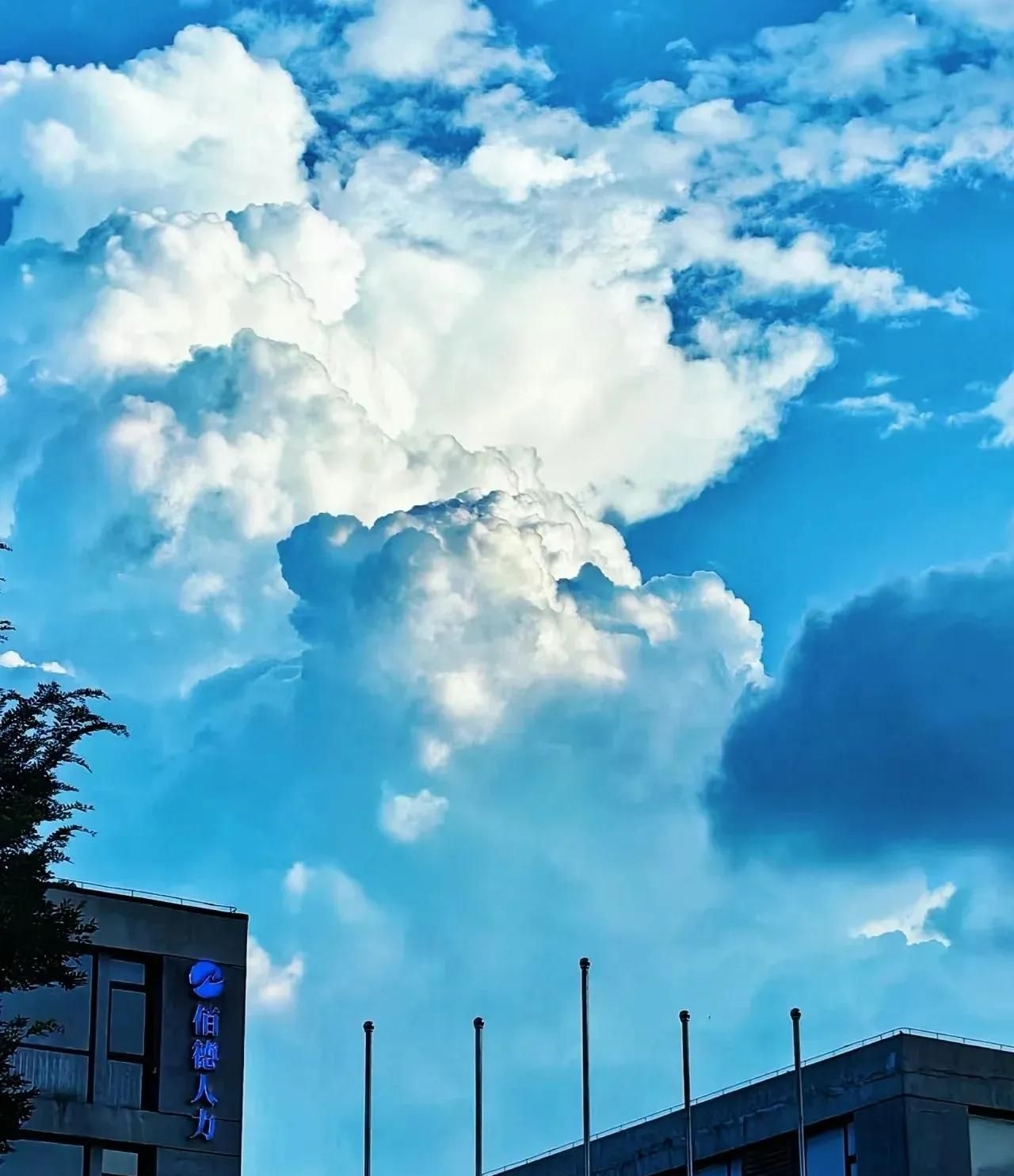 华为手机拍照不好看？这些隐藏功能秒变单反