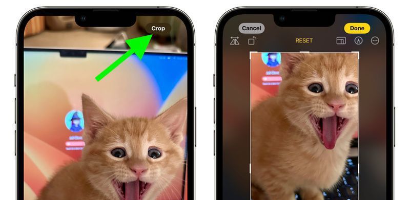 【使用心得】高效使用 iPhone 的技巧