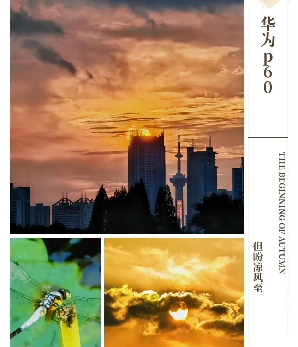 华为手机拍照不好看？这些隐藏功能秒变单反