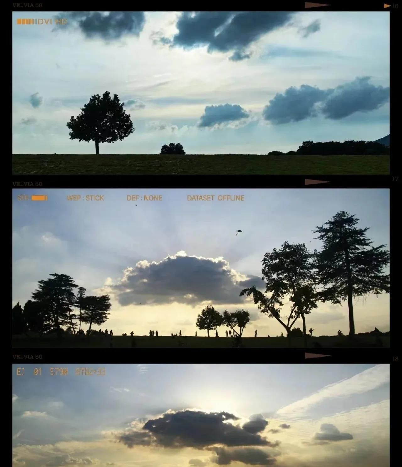 华为手机拍照不好看？这些隐藏功能秒变单反