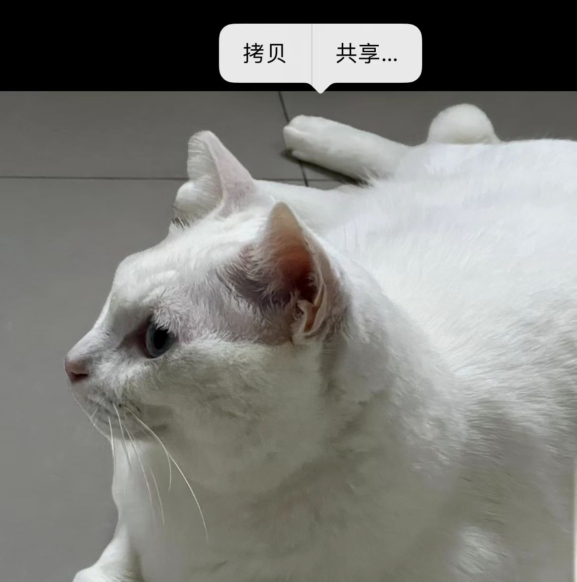 ios16新增8个有趣小功能汇总！你的手机能不能更新？