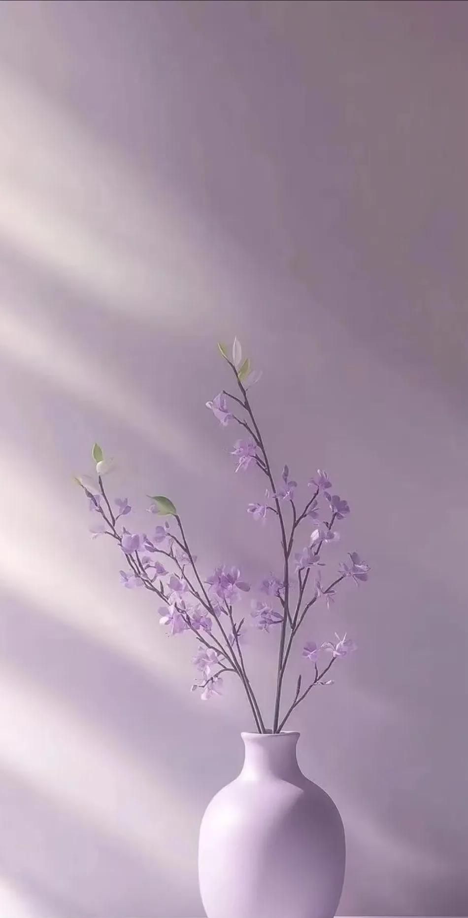 华为手机壁纸来咯