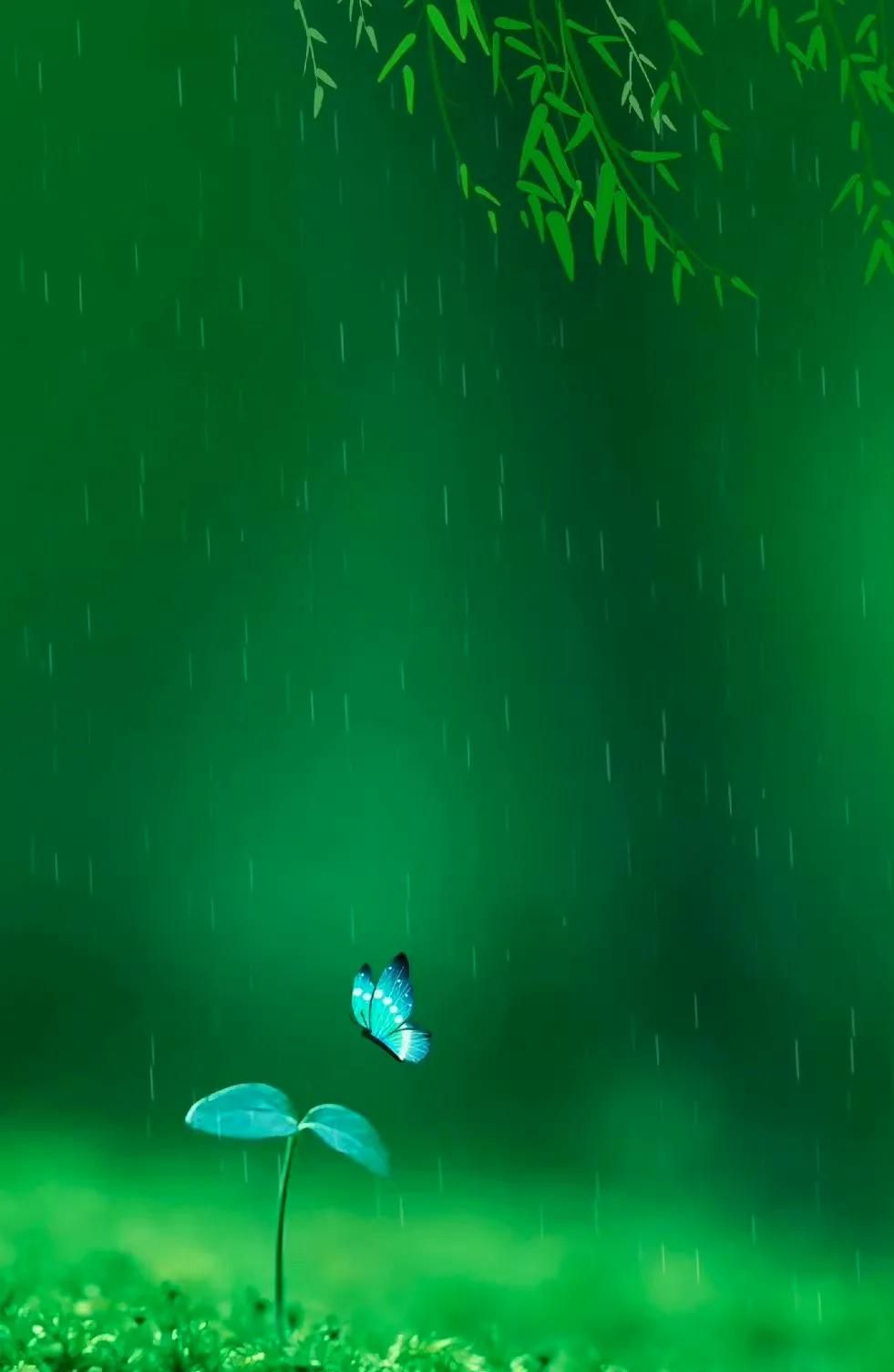 Wallpaper 高清壁纸 绿色护眼壁纸 手机锁屏 治愈系 纯净 💚