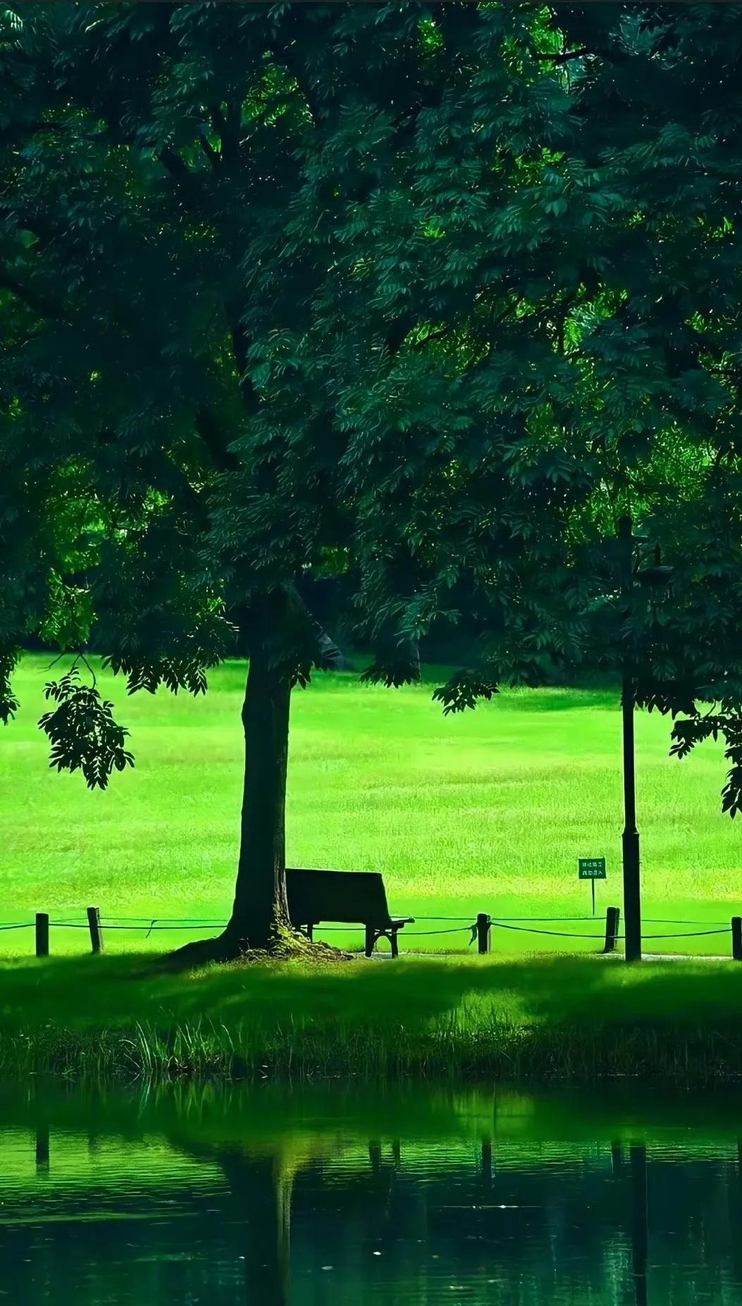 Wallpaper 高清壁纸 绿色护眼壁纸 手机锁屏 治愈系 纯净 💚