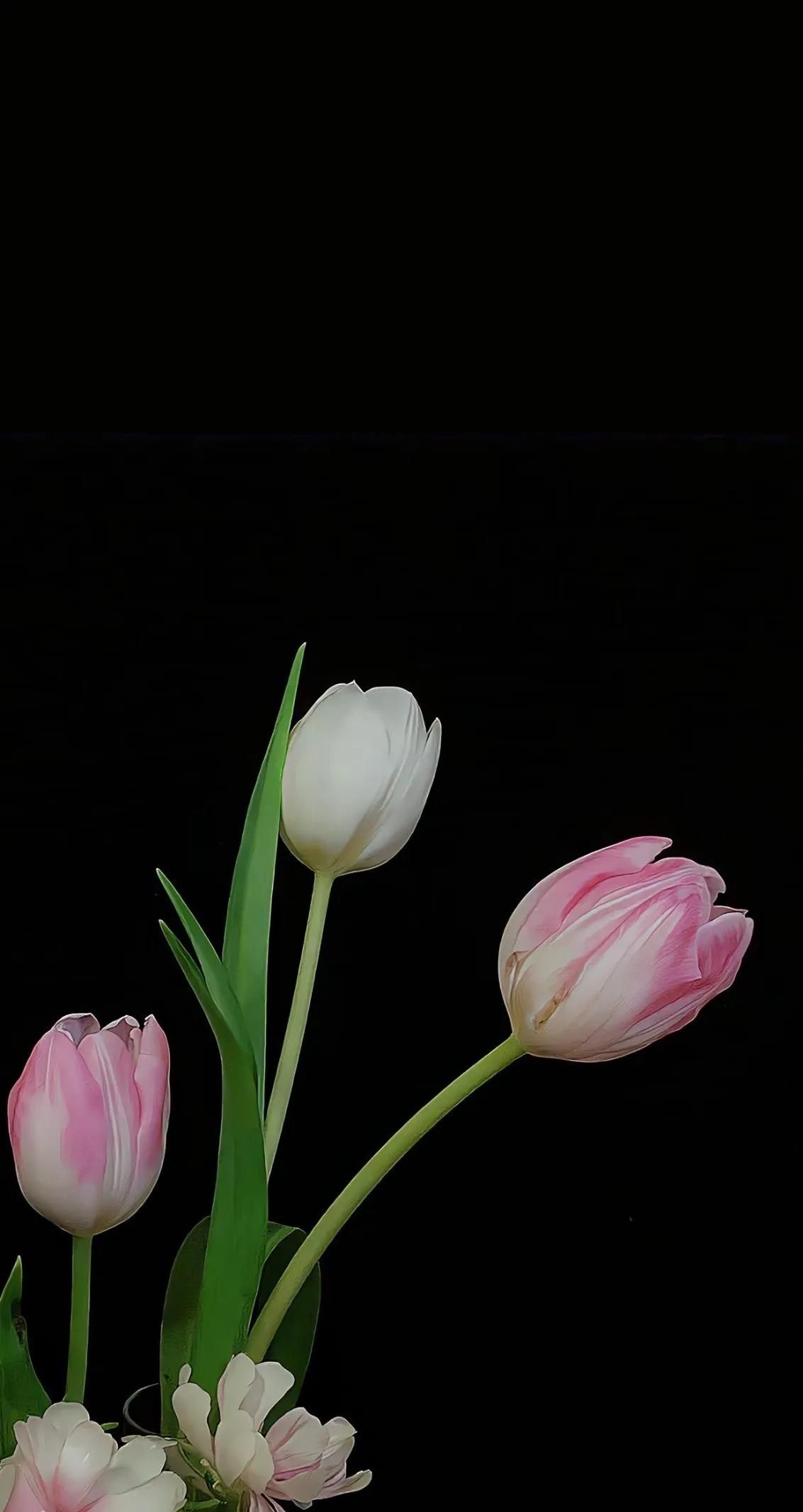 华为手机壁纸来咯