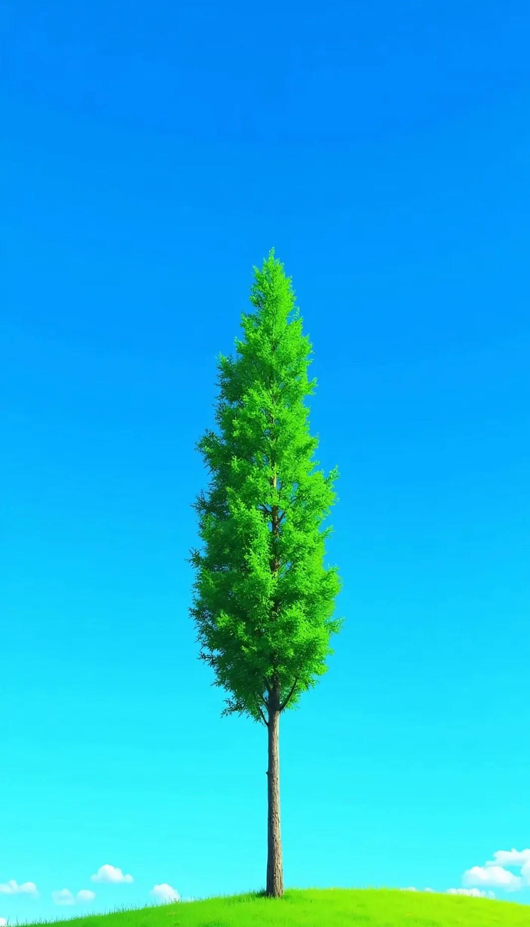 Wallpaper 高清壁纸 绿色护眼壁纸 手机锁屏 治愈系 纯净 💚