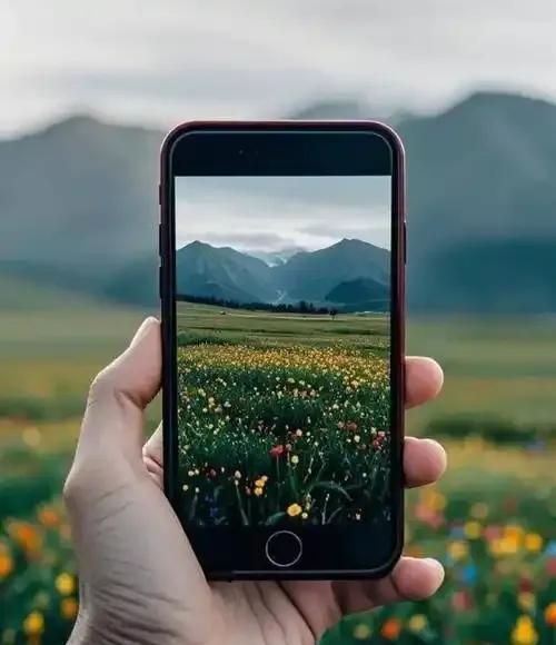 手机对焦3招封神！废片秒变高清大片，手残党亲测有效！