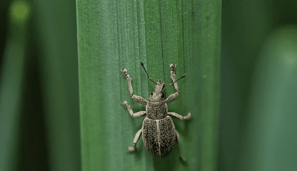 几种亲测好用方法教会你屏幕录制！