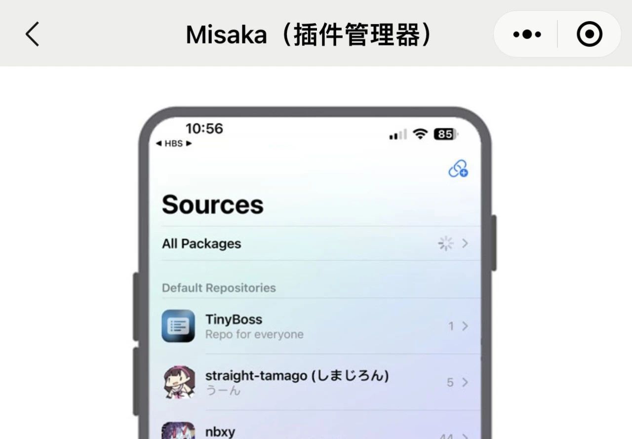 iOS 16.1.2 Misaka 1.2 汉化已出，插件功能很强劲