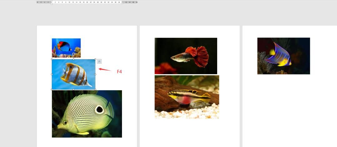 Word如何批量调整图片格式?仅需3步轻松搞定!