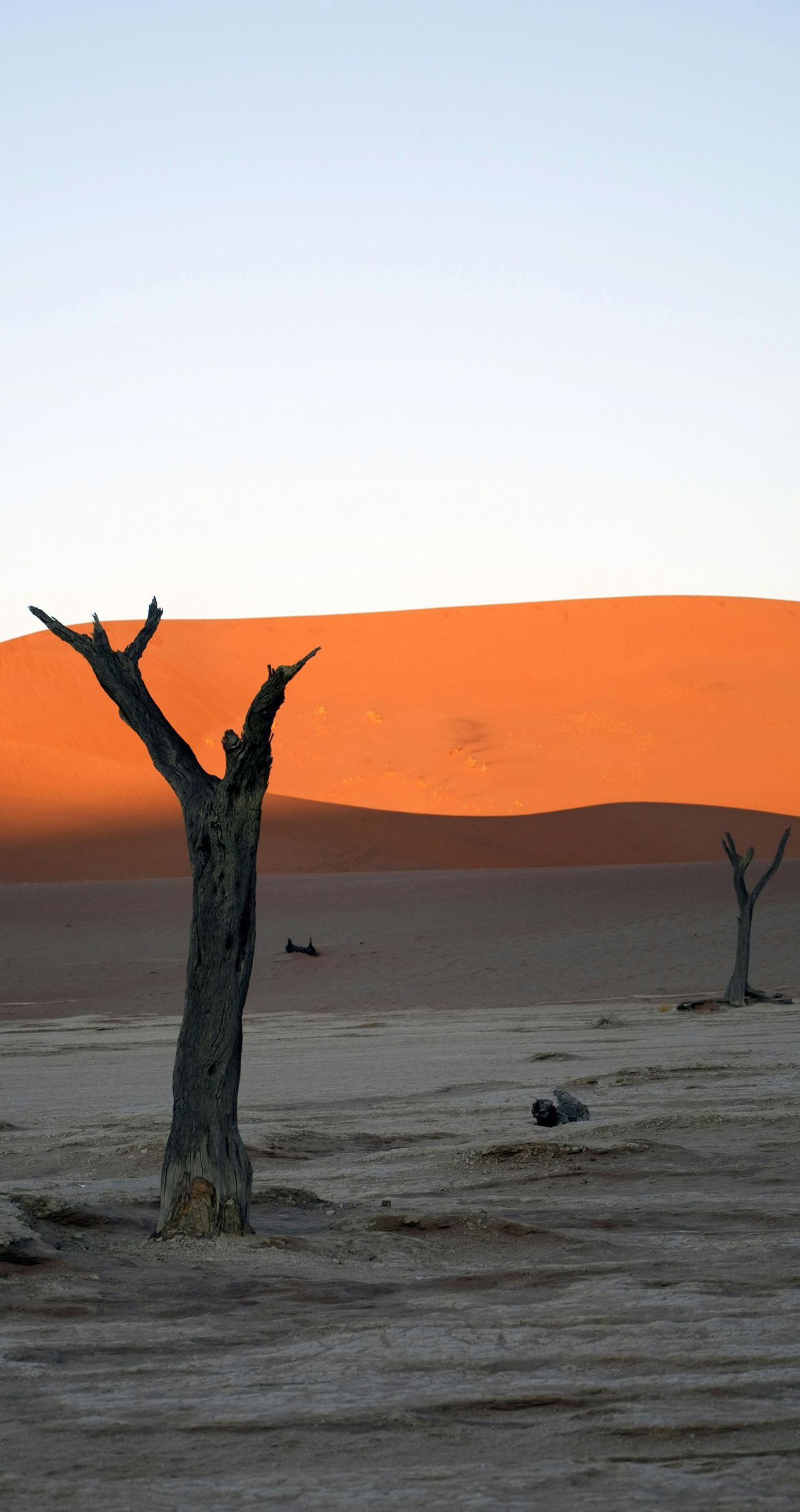 不管你是 iPhone 还是安卓，这篇全风格壁纸都能适配，高级感拉满