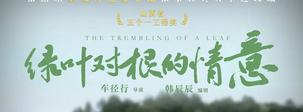 审美提高~从影视海报中学书法排版,让你的PPT霸气十足!