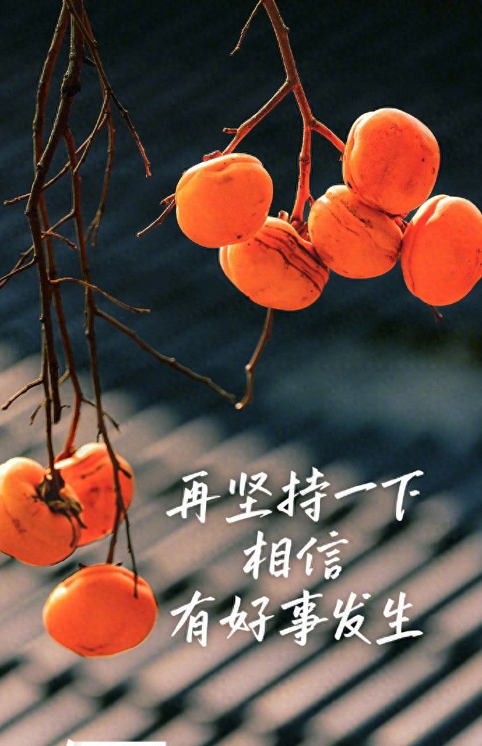 2025考研倒计时一天，愿你所愿如愿! - 宋马