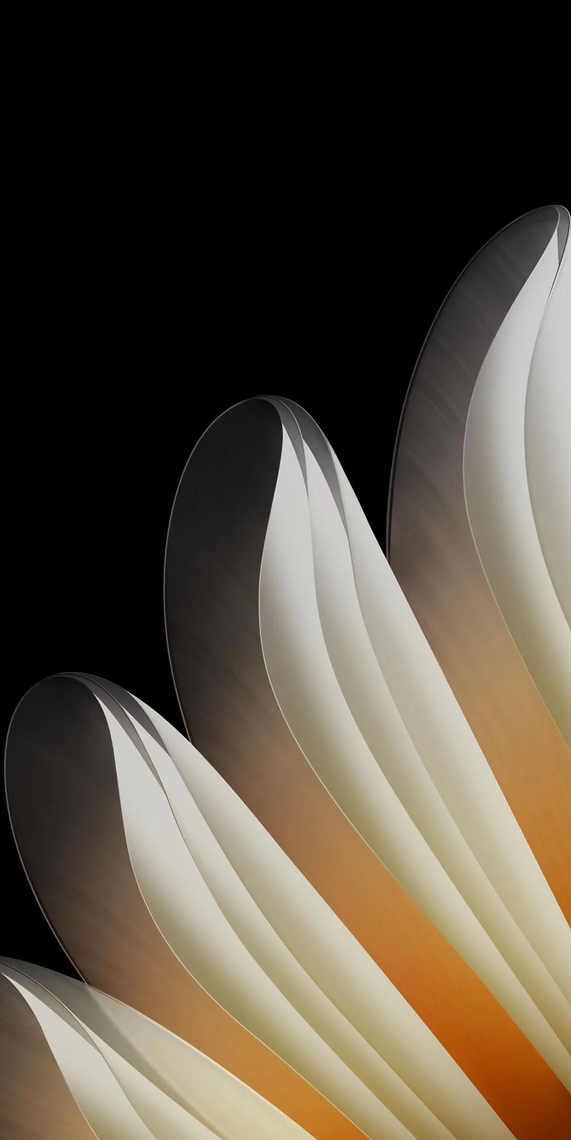 OPPO Find N5内置壁纸♥这🤔一言难尽啊