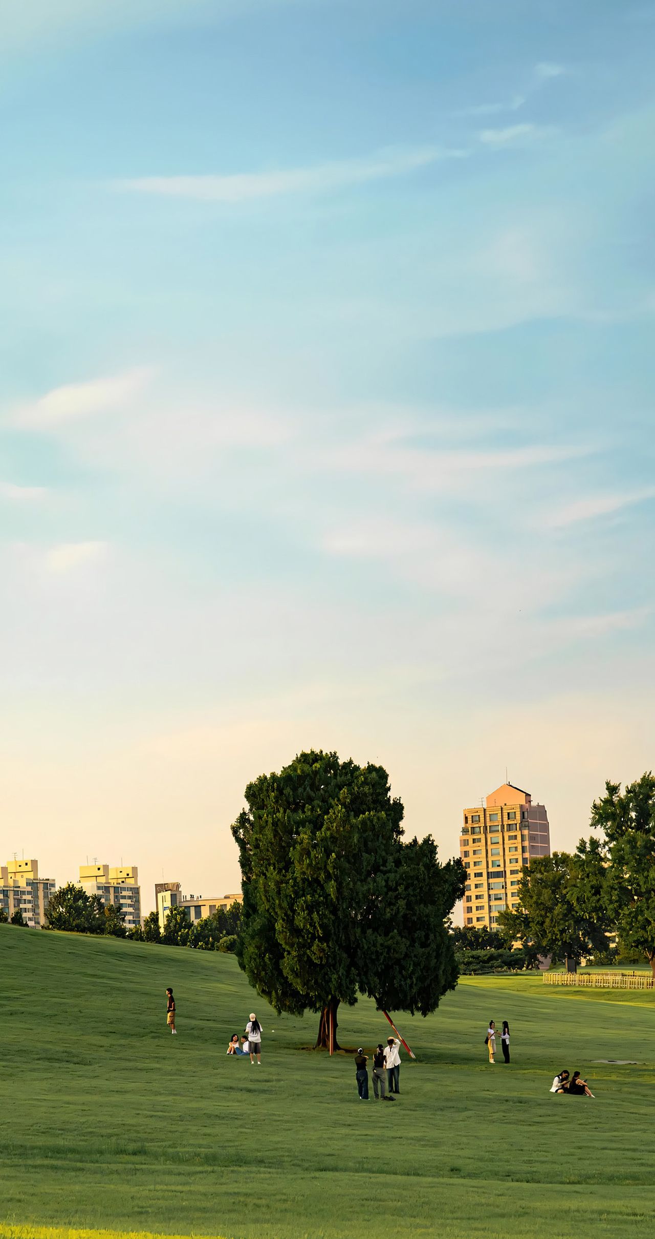 不管你是 iPhone 还是安卓，这篇全风格壁纸都能适配，高级感拉满