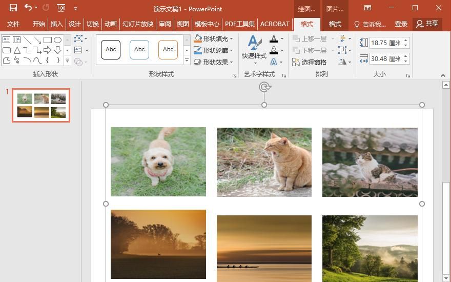 图片大小不统一用PPT就能一键统一图片尺寸，省时又省力