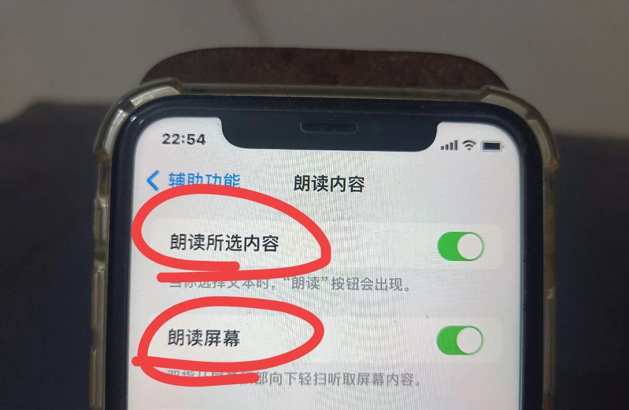 iphone的朗读文字功能你会使用吗？我来教你如何设置！