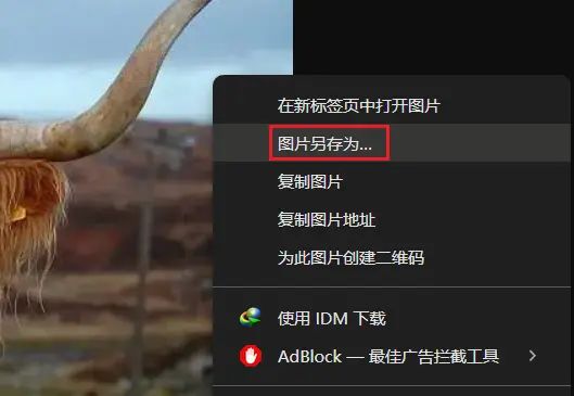 chrome 图片另存为总是webp格式 - 宋马