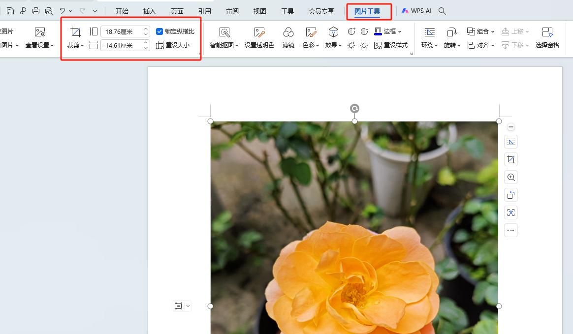 WPS文档如何插入图片