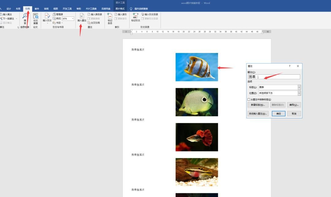 Word如何批量调整图片格式?仅需3步轻松搞定!