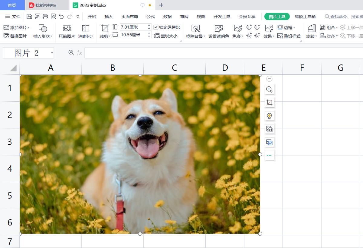 wps表格：将图片嵌入单元格中以便图片随单元格大小自动进行调整 - 宋马