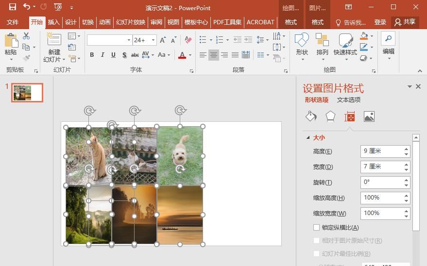 图片大小不统一用PPT就能一键统一图片尺寸，省时又省力