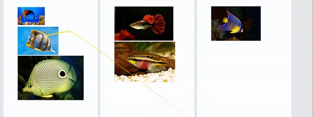 Word如何批量调整图片格式?仅需3步轻松搞定!