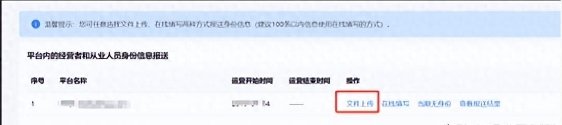 灵工平台企业身份信息及收入信息报送操作指引（湖南省） - 宋马