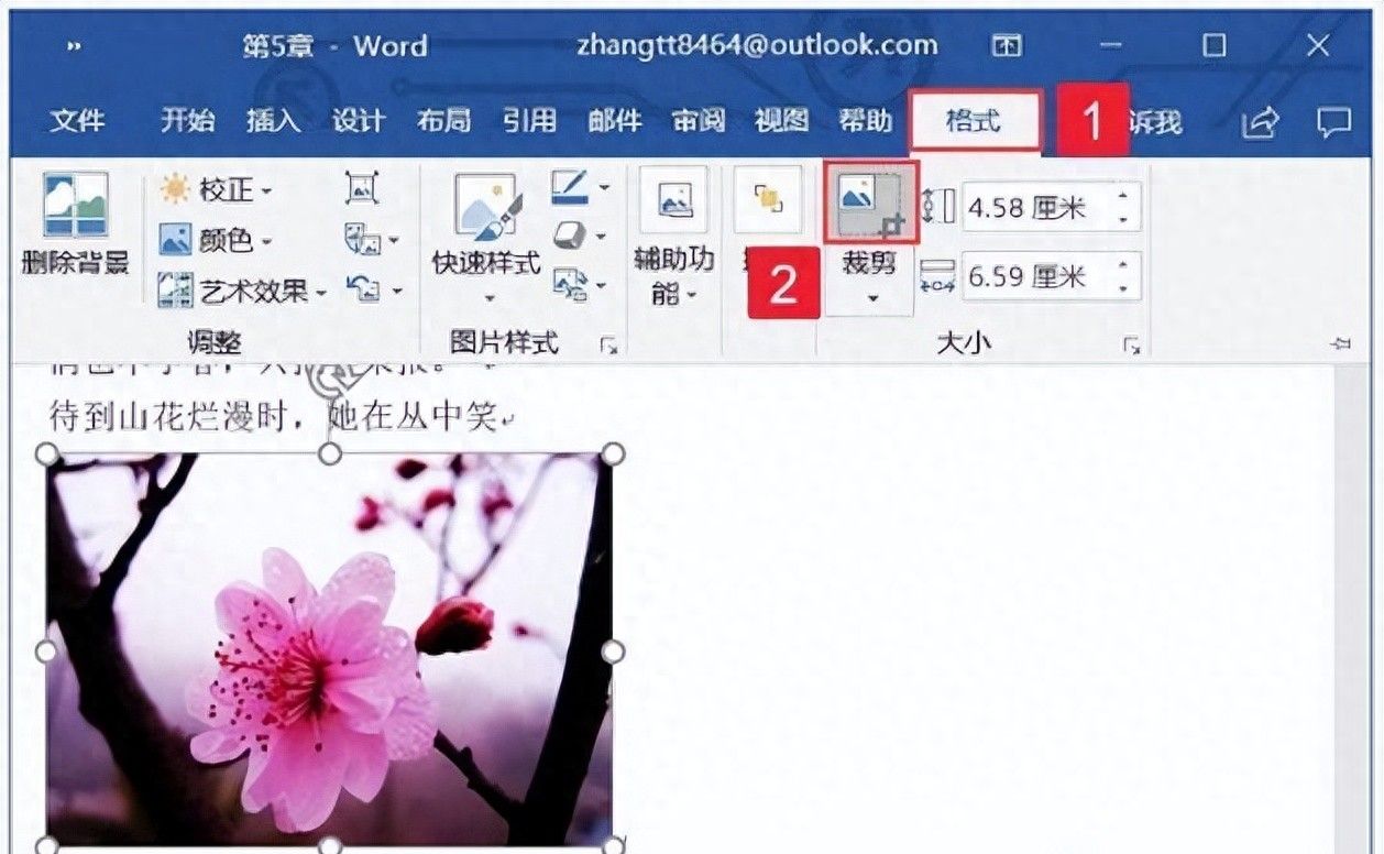 [word] word2019文档中裁剪图片的操作方法图解教程 - 宋马