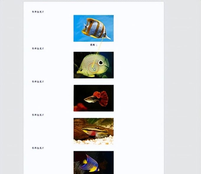 Word如何批量调整图片格式?仅需3步轻松搞定!